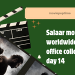 Salaar movie worldwide box office collection day 14