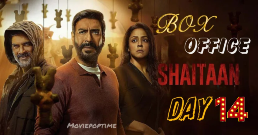 Shaitaan Box Office Collection Day 14 In Just Two Weeks, Ajay Devgn & R Madhavan's Film Raises Over 35 Crore