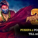 Pushpa 2 postponed till 2025 Allu Arjun Is Dissatisfied With The Makers And Allegedly Cuts His Signature Beard In Anger - Here's Everything We Know!