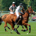 Olahraga Polo: Program Latihan Fisik yang Ideal