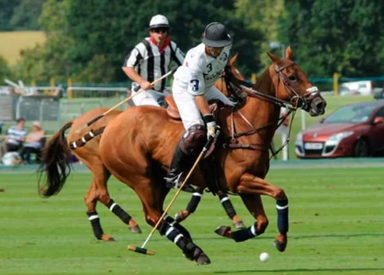 Olahraga Polo: Program Latihan Fisik yang Ideal